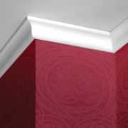 С 20/25 (220) плинтус потолочный