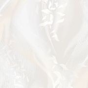 889731 Х 6 Обои Victoria Stenova SECRET