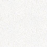 39219-3 Х 6 Обои A.S.Creation Attico