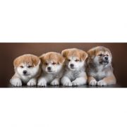 Милая компания  Х 5«Люкс»фотообои «ТП» 4л 272х97см