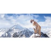 Своя стихия Х 5 «Люкс»фотообои «ТП»6л.  291х136см